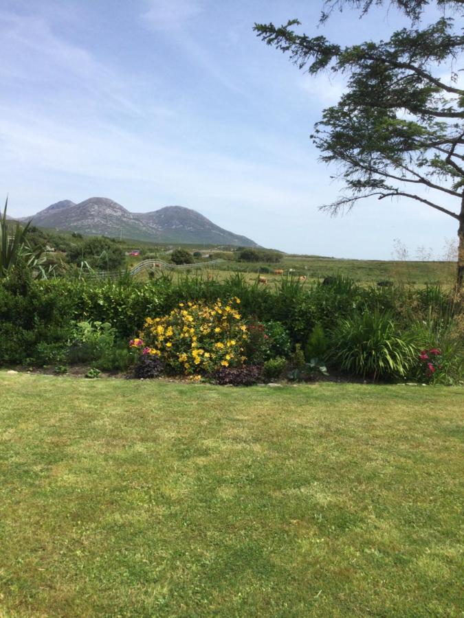 Tullybeggs B&B Clifden Extérieur photo
