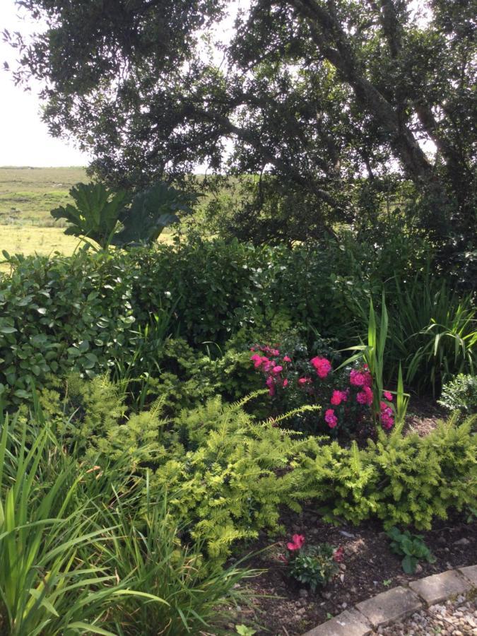 Tullybeggs B&B Clifden Extérieur photo